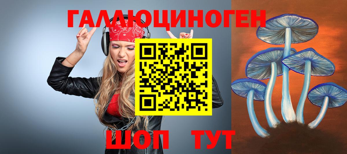 Галлюциногенные грибы GOLDEN TEACHER  Псилоцибиновые грибы Psilocybe  Балтийск  Вход с VPN 